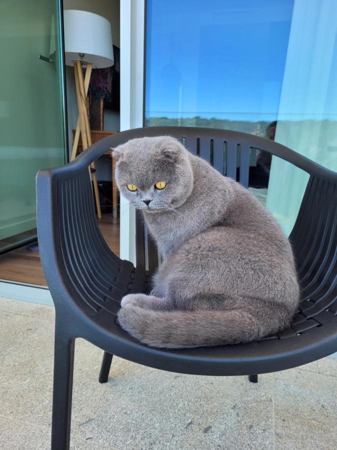 Hotel Cotto Do Gatto Ponte da Barca Zewnętrze zdjęcie