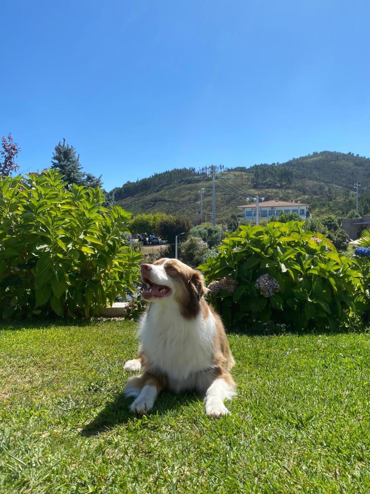 Hotel Cotto Do Gatto Ponte da Barca Zewnętrze zdjęcie